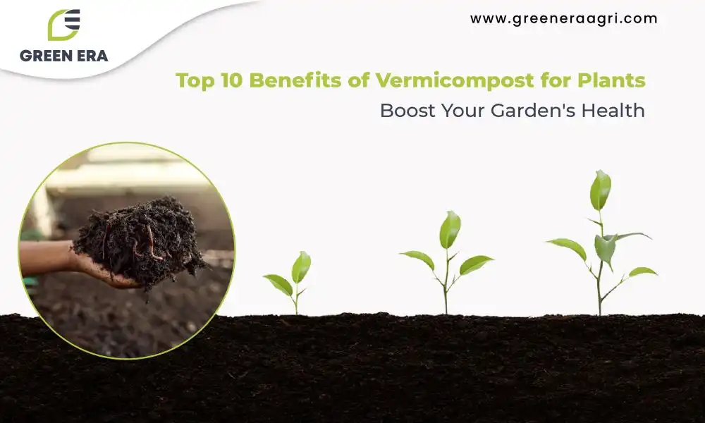 Benefits of Vermicompost