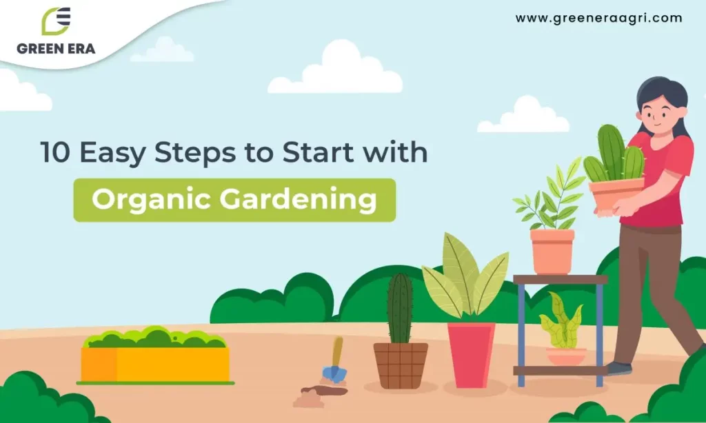 10 Easy Steps to Start with Organic Gardening