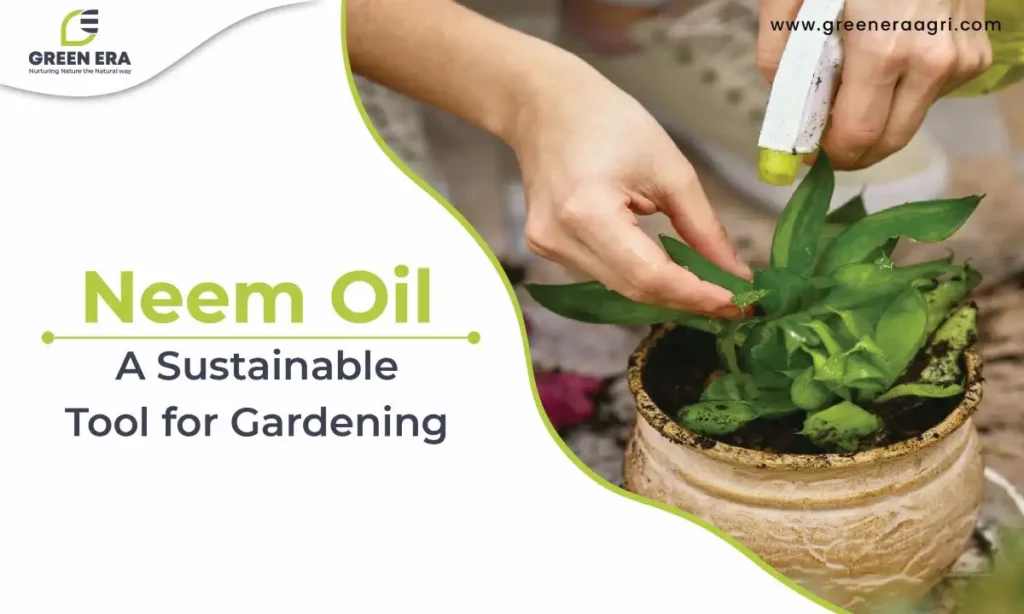 Neem Oil Sustainable Tool for Gardening