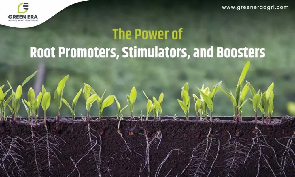 The Power of Root Promoters, Stimulators, and Boosters